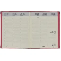 AGENDA BUREAU 2026 ARGENT 22.8X18CM