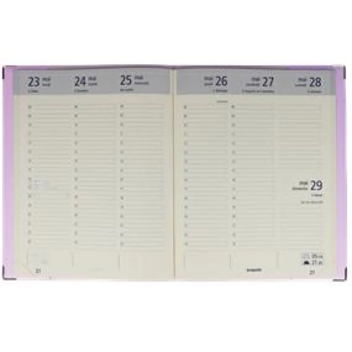 AGENDA BUREAU 2026 FANTASIA 22.8X18CM