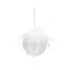 BOULE NOEL VERRE ARC EN CIEL PLUME PAILLETTE