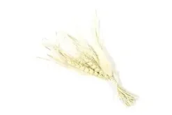 BOUQUET DE BLE ET GRAMINEES SECHES SUR CARTE
