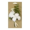 BOUQUET DE COTON CERISIER ET BUIS SUR CARTE BLANC