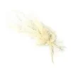 BOUQUET DE LAGURUS SECHE SUR CARTE