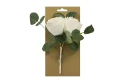 BOUQUET DE ROSES ET TIGE D EUCALYPTUS SUR CARTE BLANC