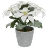 BRANCHE POINSETTIA BLANC PAILLETTE POT H.22CM