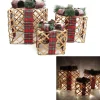 CADEAU LUMINEUX BRANCHES 25CM