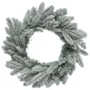 COURONNE FROSTY 40CM