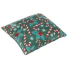 COUSSIN HOUX 40X40CM