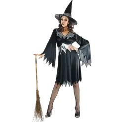 DEGUISEMENT ADULTE SORCIERE