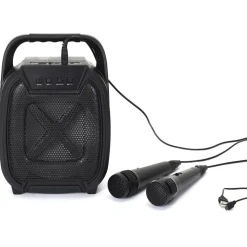 ENCEINTE SANS FIL 8W KARAOKE 2 MICROS INTEGRES