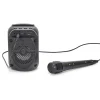 ENCEINTE SANS FIL 5W KARAOKE MICRO INTEGRE