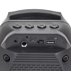 ENCEINTE SANS FIL 5W KARAOKE MICRO INTEGRE