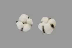 FLEUR DE COTON X6 PIECES