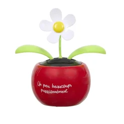 FLEUR SOLAIRE DANSANTE