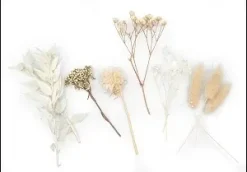 FLEURS SECHEES COLORIS BLANC X10 PIECES