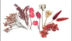 FLEURS SECHEES COLORIS BORDEAUX X10 PIECES