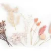 FLEURS SECHEES COLORIS ROSE X10 PIECES