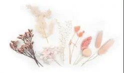 FLEURS SECHEES COLORIS ROSE X10 PIECES