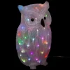 FORME ACRYLIQUE EXTERIEUR HIBOU 60LEDS COULEUR H.47CM