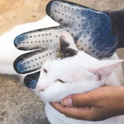 GANT MAGIQUE ANTI POILS ANIMAUX