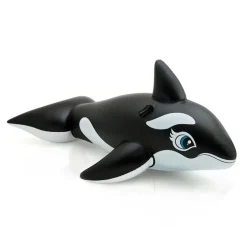 GRANDE BALEINE A CHEVAUCHER