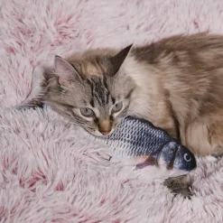 JEU INTERACTIF POISSON POUR ANIMAUX