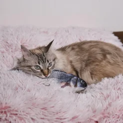 JEU INTERACTIF POISSON POUR ANIMAUX