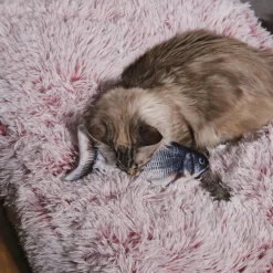 JEU INTERACTIF POISSON POUR ANIMAUX
