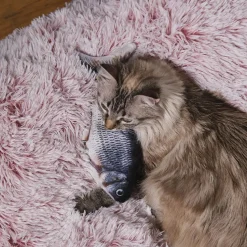 JEU INTERACTIF POISSON POUR ANIMAUX