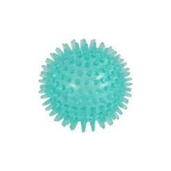 JOUET DENTAIRE BALLE PICOTS D.6.5CM BLEU