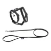 KIT HARNAIS LAISSE CHAT 20>28CM 120CM REFLECHISSANT N