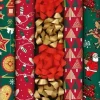 KIT 4RLX 0.7X2M ET 2OEUFS BOLDUC ET 7 ETOILES