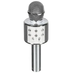 MICRO KARAOKE