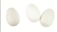 OEUF PLASTIQUE BLANC 6X4CM X8 PIECES