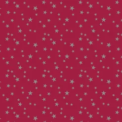 PAPIER CADEAU TRADITIONNEL 1X10M