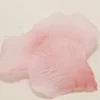 PETALE EN TISSU X100 PIECES ROSE