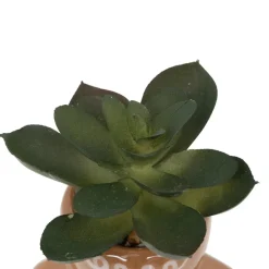 PLANTE POT NOEL H.11CM