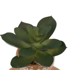 PLANTE POT NOEL H.11CM