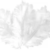 PLUMES BLANCHES 10 CM X 50 PCS