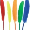 PLUMES NATURELLES INDIENNES 7 A 15CM X120 PIECES