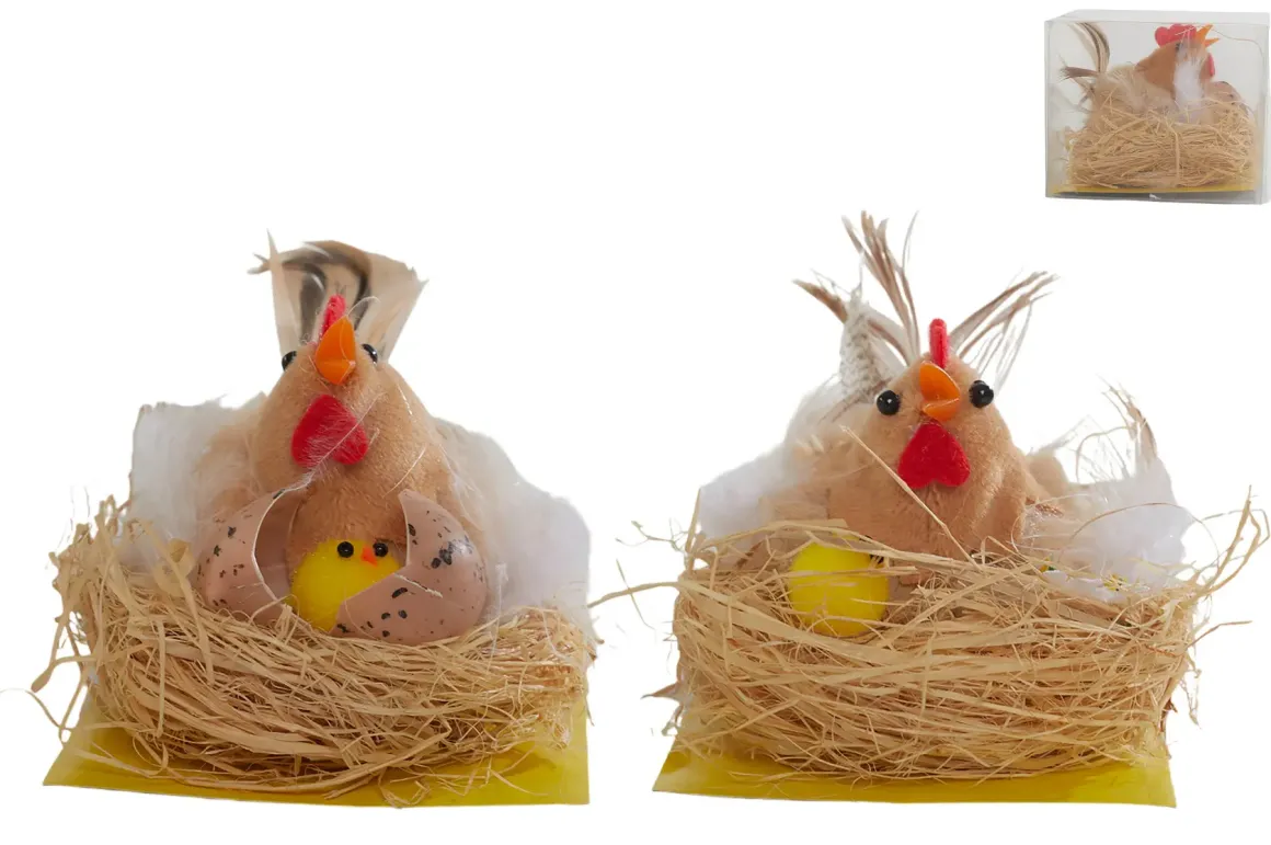 POULE PLUMEE DANS SON NID