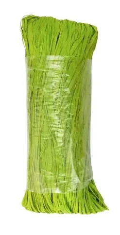 RAPHIA NATUREL VERT CLAIR 50G