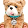 ROLLIE LE CHIOT