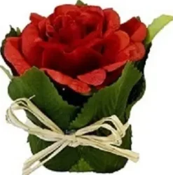 ROSE DANS POT FEUILLAGE ROUGE