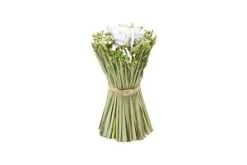 ROSE ET FLEURS SECHEES DANS GERBE BLANC