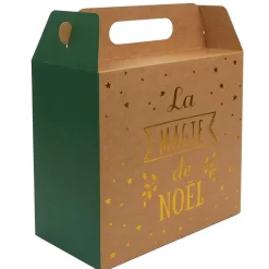 SAC CADEAU PLIABLE NOEL 27X14X24CM