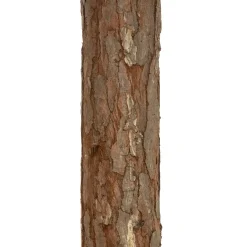 SAPIN NORDSTAR H.180CM