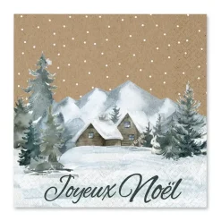 SET 20 SERVIETTES 3 PLIS 33X33CM COTTAGE