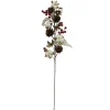 TIGE COTON POMMES PIN BAIES H.68CM