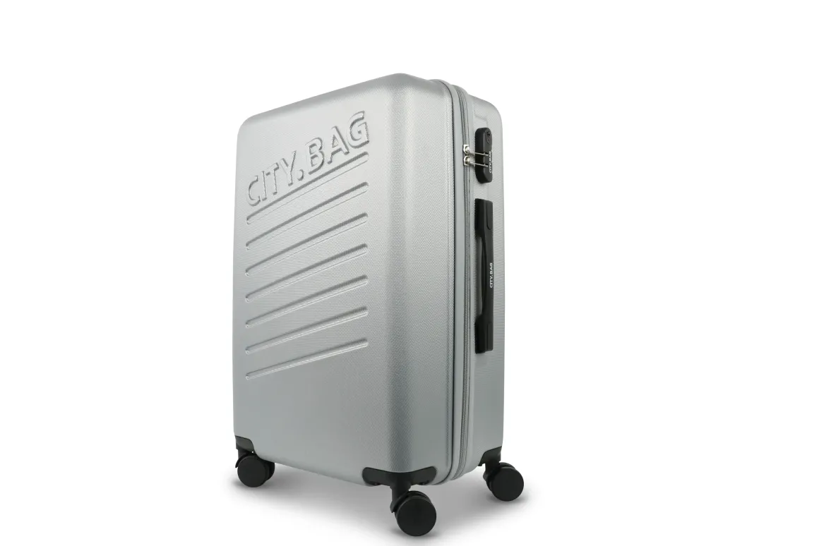 VALISE CITY BAG SYDNEY COLORIS ARGENTE 41X60X25CM